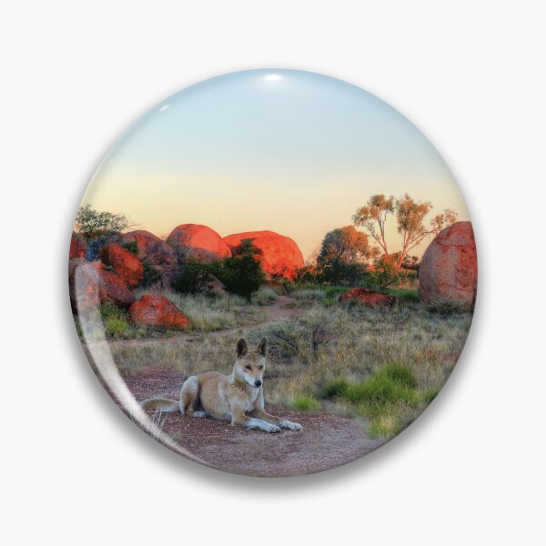 Artikelvorschau, Dingo bei den Devil's Marbles Sunset Glow entworfen und verkauft von Adam Gormley.