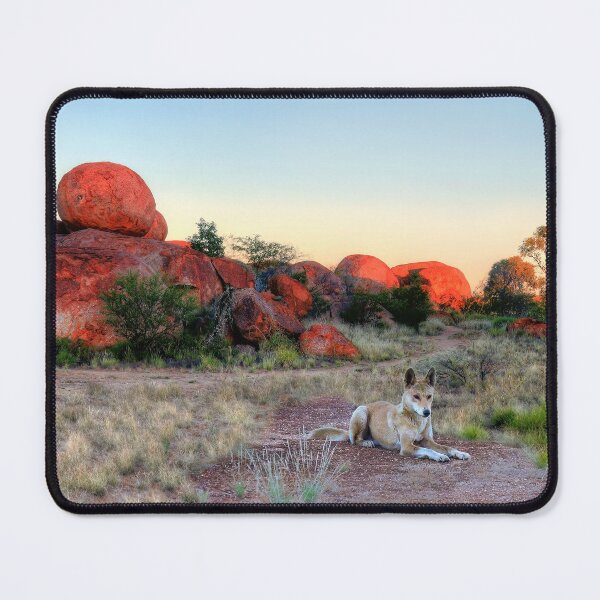 Item preview, Dingo at the Devil's Marbles Sunset Glow designed and sold by Adam Gormley.