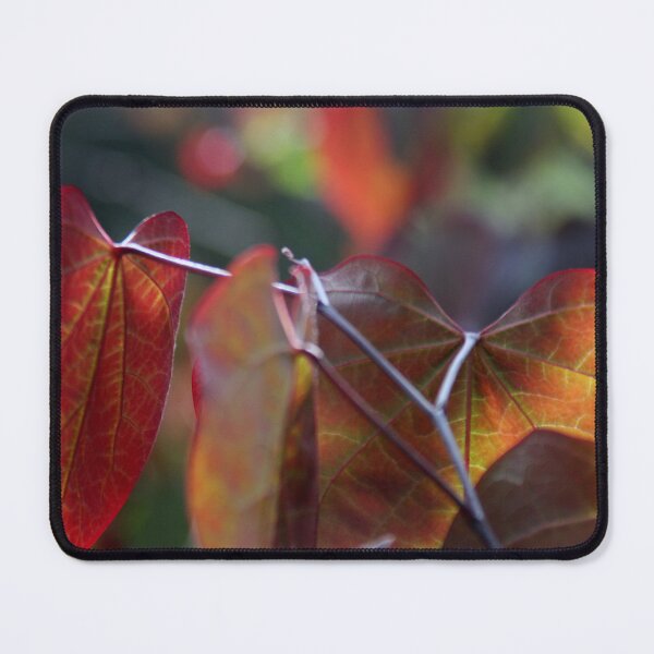 Item preview, Colorful leaves designed and sold by agnessa38.