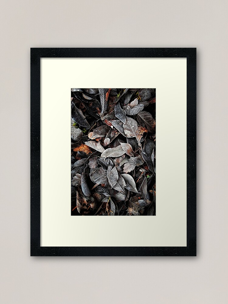 Thumbnail 1 of 7, Framed Art Print, Touch of Frost Reprise designed and sold by Coigach.