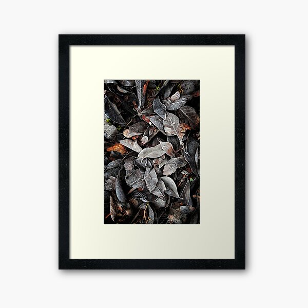 Framed Art Print