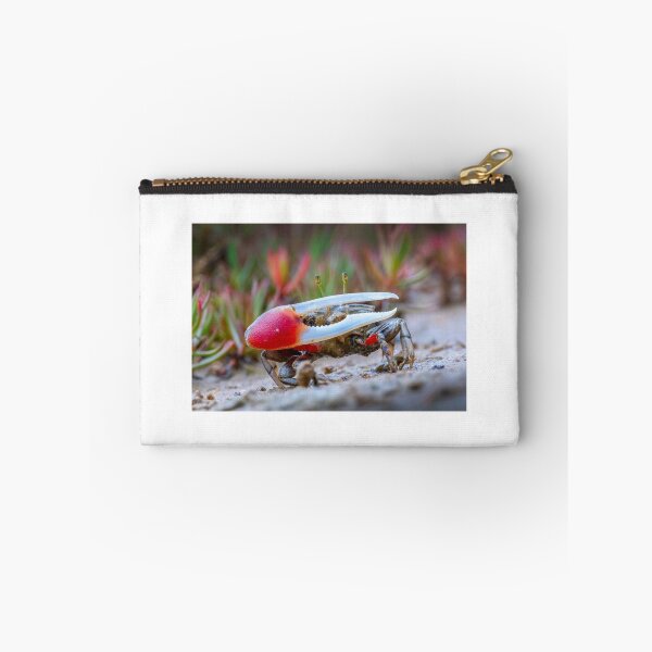 Item preview, Signalling Crab (Tubuca signata). Lota Creek, Brisbane. designed and sold by Robert Ashdown.