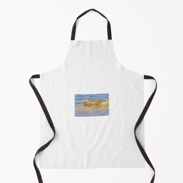 Item preview, Black-winged Stilt (Himantopus himantopus). Atkinsons Lagoon. designed and sold by Robert Ashdown.