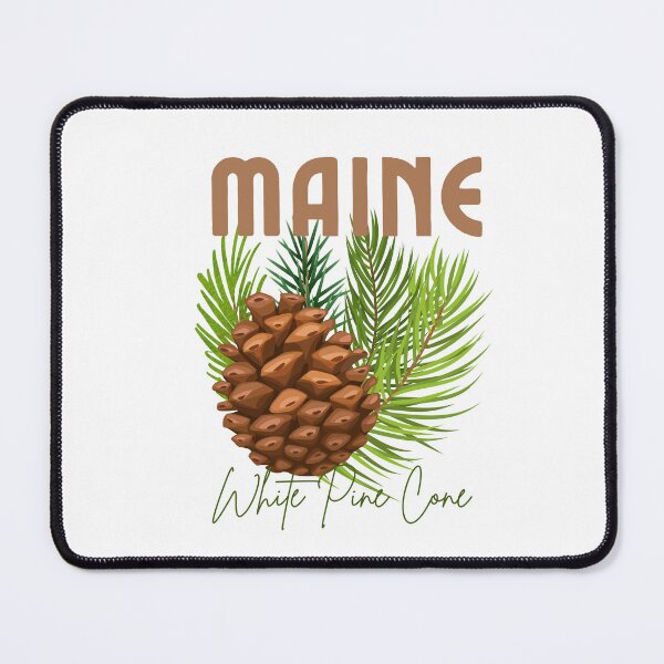Item preview, Maine White Pine Cone State Flower Classic T-shirt Sticker designed and sold by ThinkNature!.