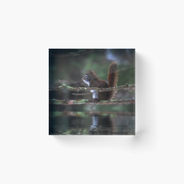 Item preview, *** designed and sold by Alla Gill.