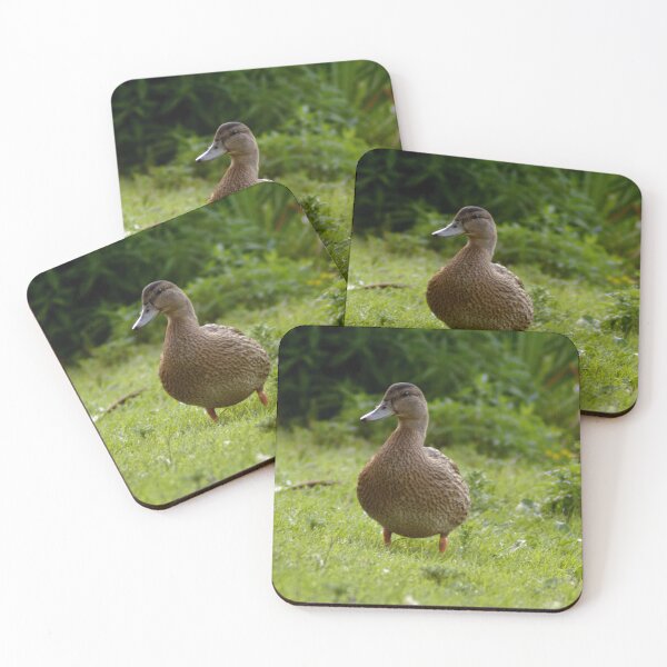 Item preview, #649 - Mallard designed and sold by lewiswhatsisnme.