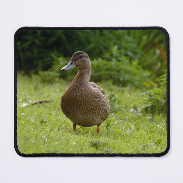 Item preview, #649 - Mallard designed and sold by lewiswhatsisnme.