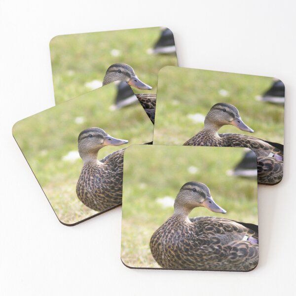 Item preview, #701 - Mallard designed and sold by lewiswhatsisnme.