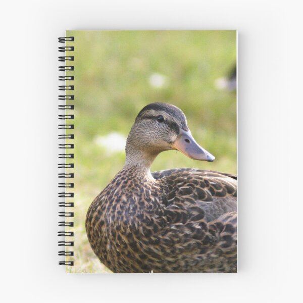 Item preview, #701 - Mallard designed and sold by lewiswhatsisnme.