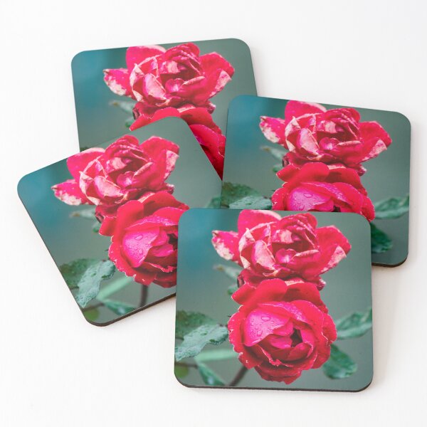 Item preview, The Life Cyle Of A Rose designed and sold by Split2ndPhotos.