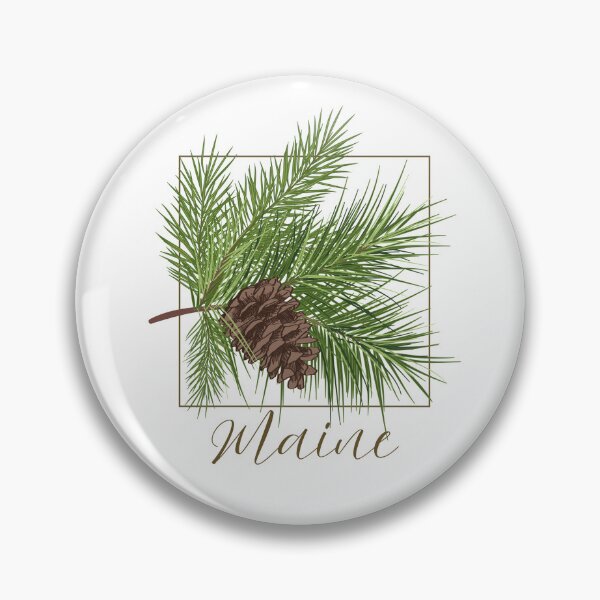 Item preview, Maine White Pine Cone State Flower Classic T-shirt Sticker designed and sold by ThinkNature!.