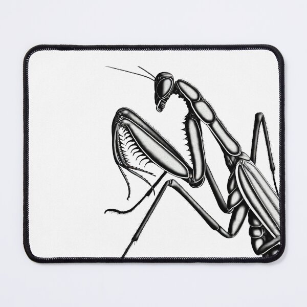 Item preview, Intricate Praying Mantis designed and sold by becauseturkey.