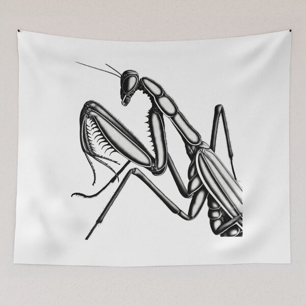 Item preview, Intricate Praying Mantis designed and sold by becauseturkey.