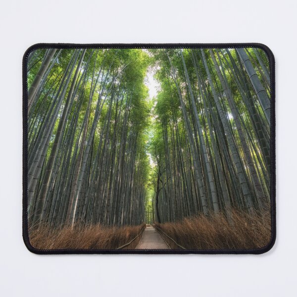 Item preview, Arashiyama Bamboo Forest designed and sold by aaronchoi.