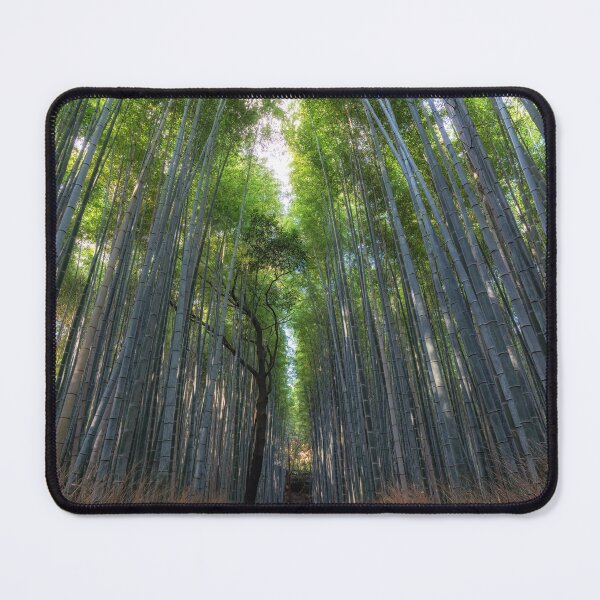 Item preview, Arashiyama Bamboo Forest designed and sold by aaronchoi.