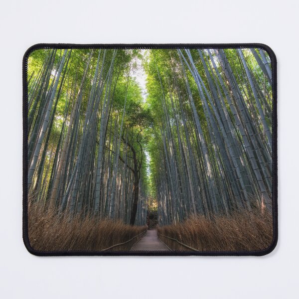 Item preview, Arashiyama Bamboo Forest designed and sold by aaronchoi.