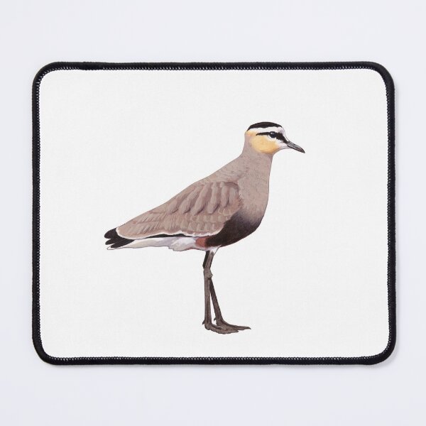 Item preview, Sociable Lapwing illustration designed and sold by kokayart.