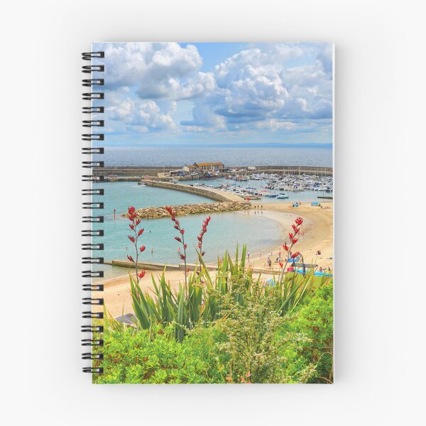 Item preview,  Lyme Regis designed and sold by Alisonchambers2.