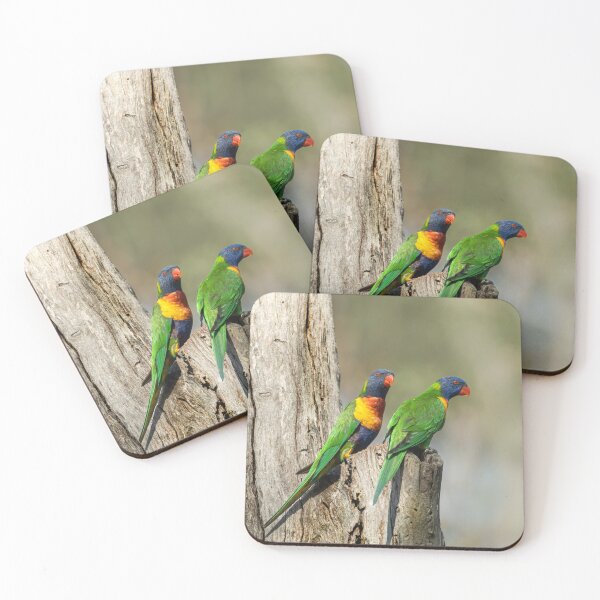 Item preview, Rainbow Lorikeet designed and sold by TedmBinegas.