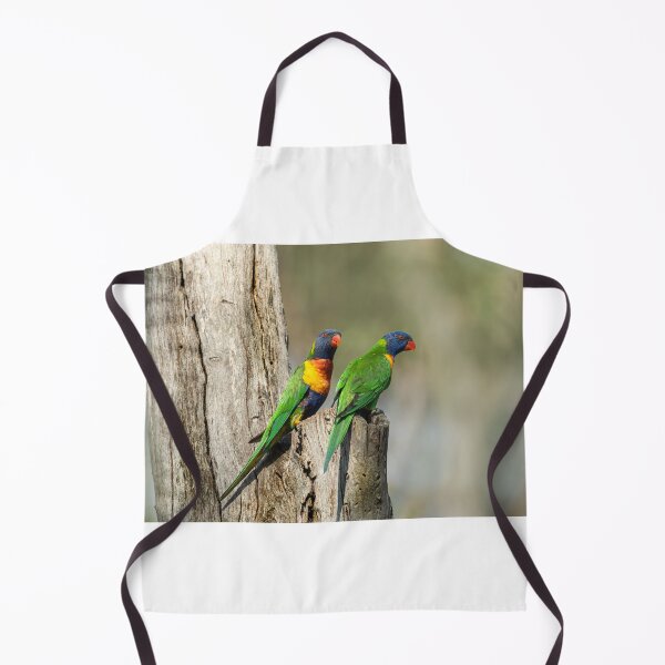 Item preview, Rainbow Lorikeet designed and sold by TedmBinegas.