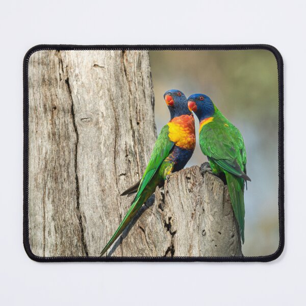 Item preview, Rainbow Lorikeets designed and sold by TedmBinegas.