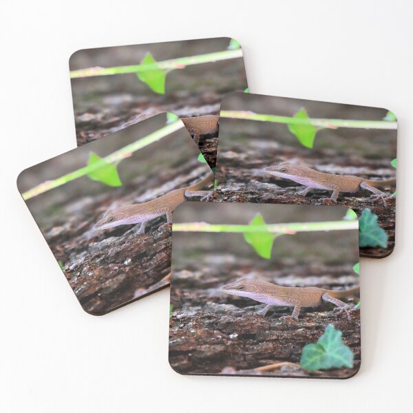 Item preview, Anole designed and sold by Parks and X.