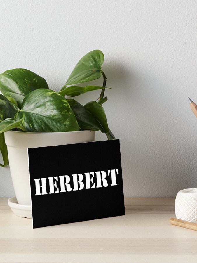 Herbert  Name Art Print