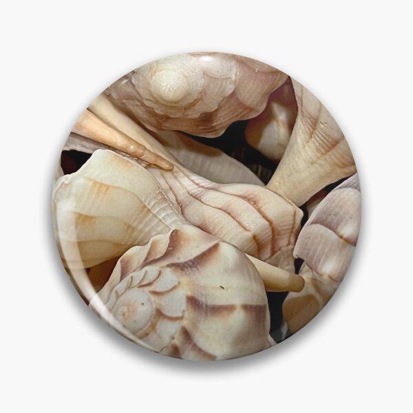 Item preview, Lightning Whelk Seashells designed and sold by Islandjunkie09.