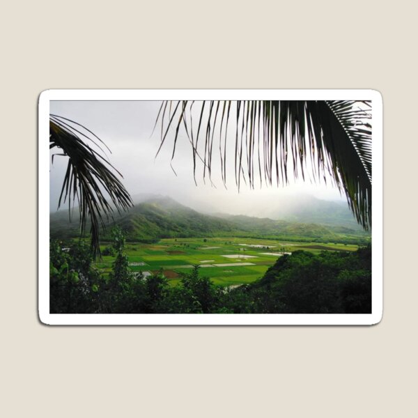 Item preview, Kauai  designed and sold by Larrysphotos.