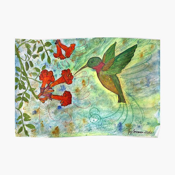 Hummingbird Poster
