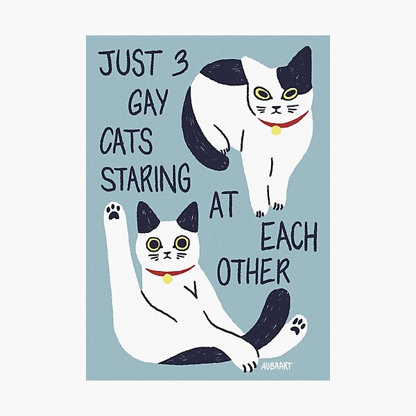3 Gay Cats Photographic Print