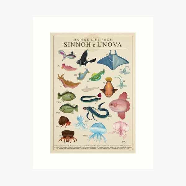 Item preview, Marine Life from Sinnoh & Unova designed and sold by Julio Lacerda.