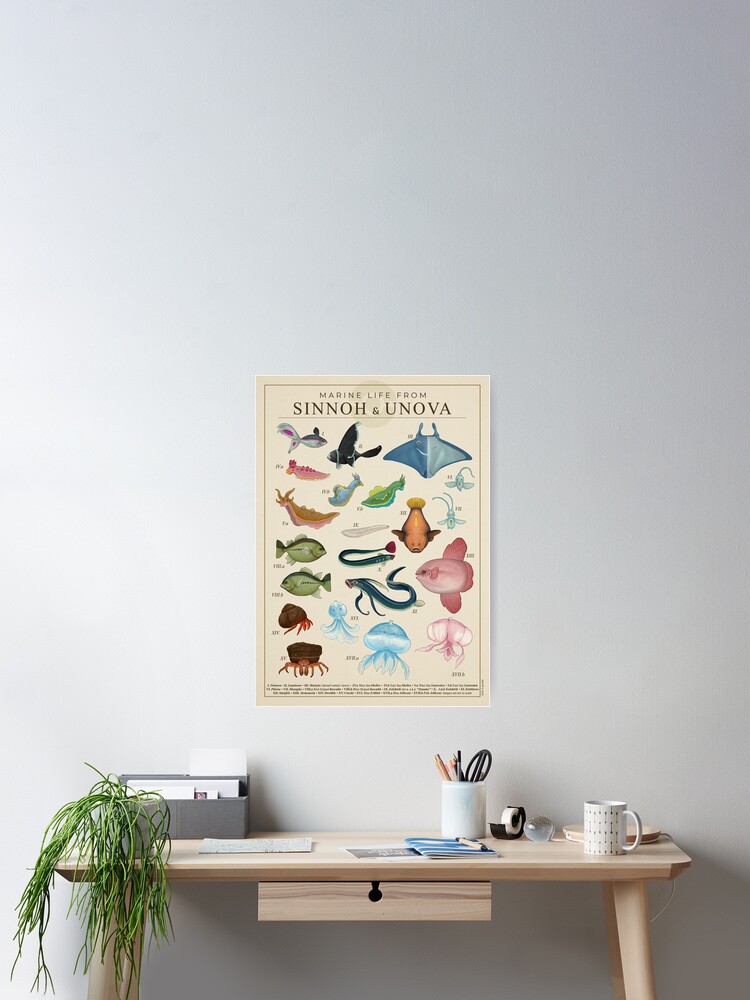 Marine Life from Sinnoh & Unova Poster