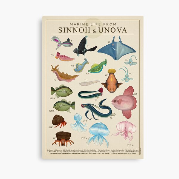 Item preview, Marine Life from Sinnoh & Unova designed and sold by Julio Lacerda.