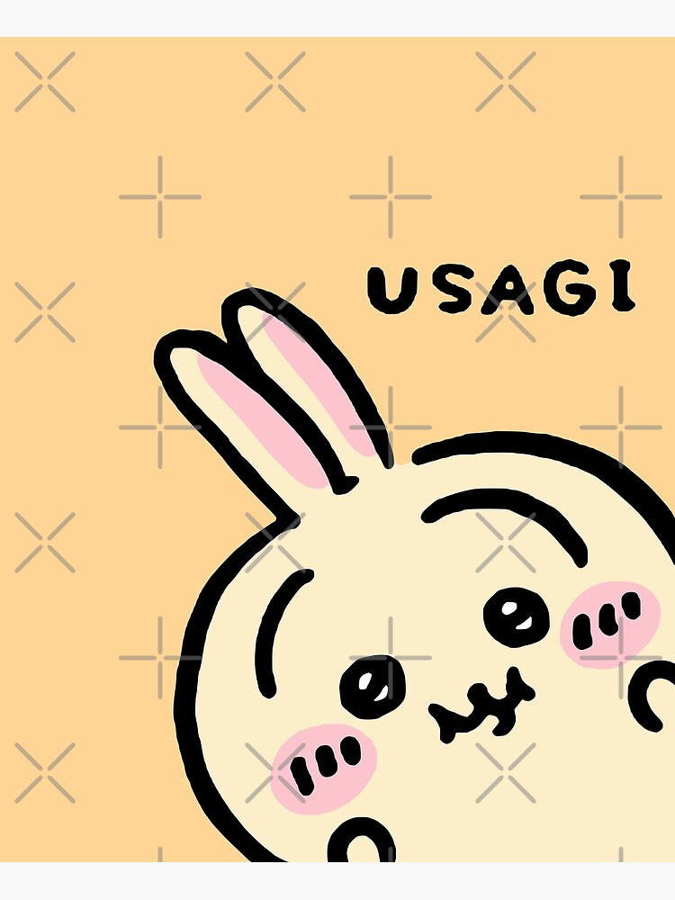 Peek a Boo Usagi うさぎ | Chiikawa ちいかわ Hachiware ハチワレ