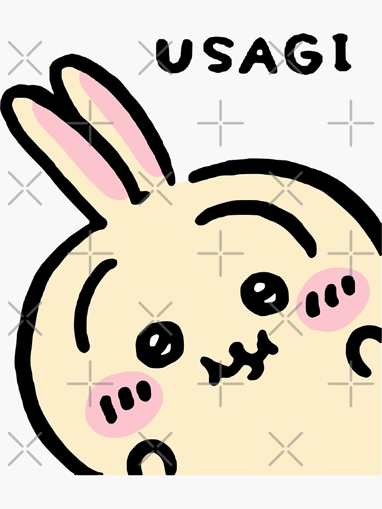 Peek a Boo Usagi うさぎ | Chiikawa ちいかわ Hachiware ハチワレ