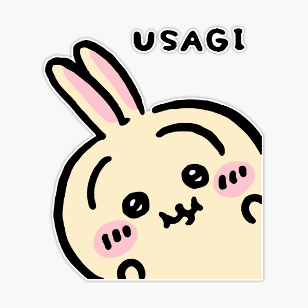 st,extra_large,507x507-pad,