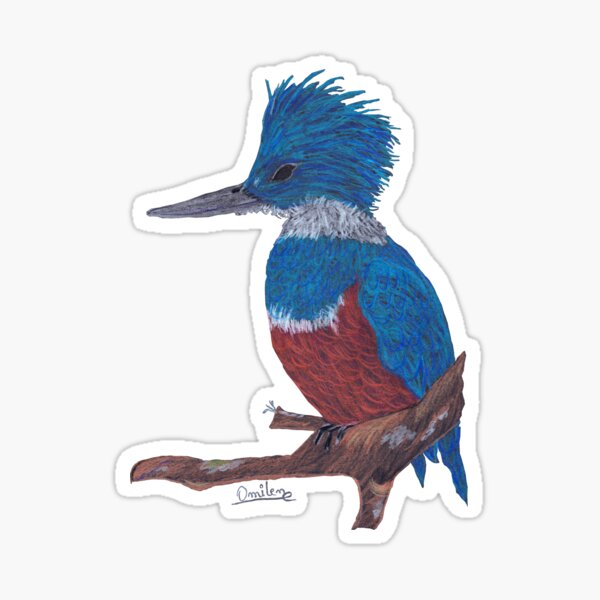 A charismatic kingfisher Sticker