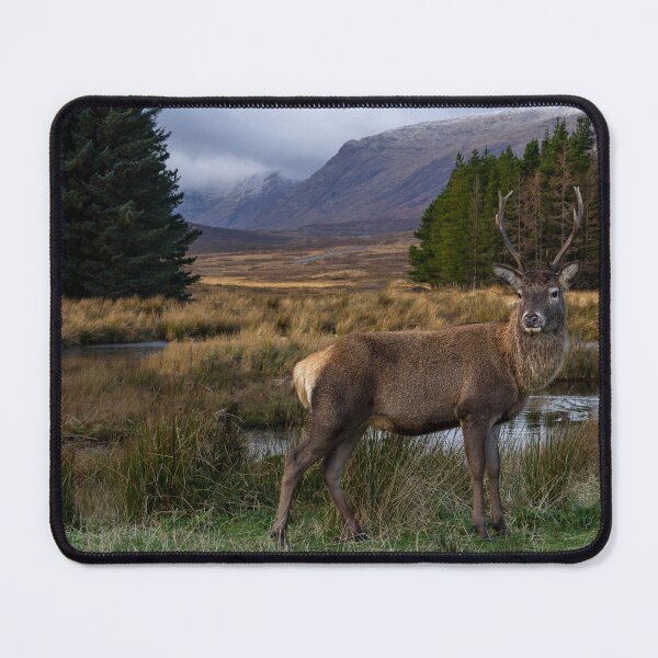 Item preview, "Highland Majesty: Deer in Glencoe" designed and sold by philpace.