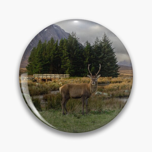 Item preview, "Guardian of Glencoe: Stag and Highlands Majesty" designed and sold by philpace.