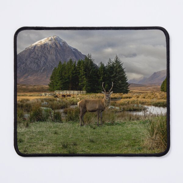 Item preview, "Guardian of Glencoe: Stag and Highlands Majesty" designed and sold by philpace.