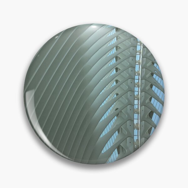 Artikelvorschau, Valencia Architecture Agora-Decke von Calatrava entworfen und verkauft von shaldesign.