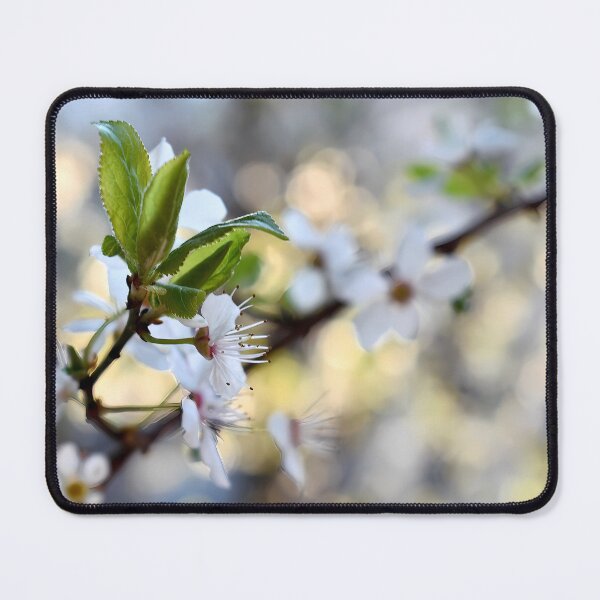 Item preview, Cherry plum blossom spring theme designed and sold by mariya-ivanova.