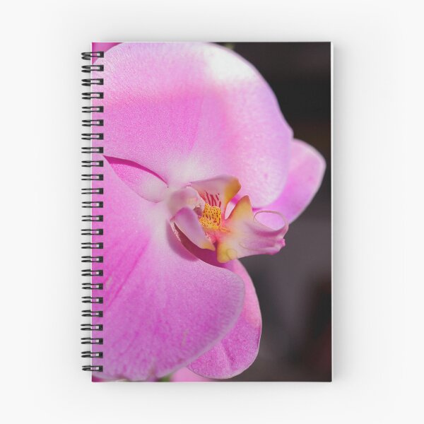 Item preview, Overhead view of an orchid designed and sold by RominaGiselle.