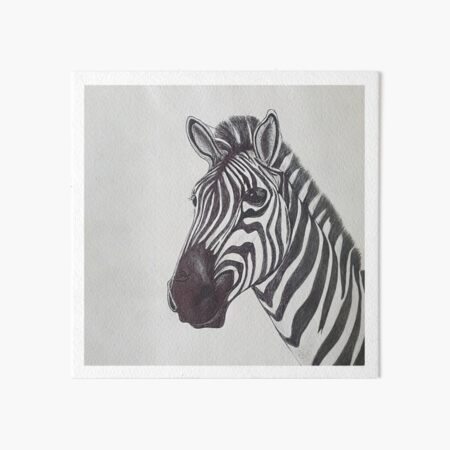 Majestic Zebra Head Sketch Art Board Print