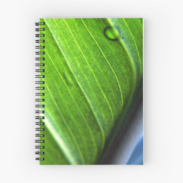 Artikelvorschau, Grünes Blatt entworfen und verkauft von DonLloyd Art & Photography.