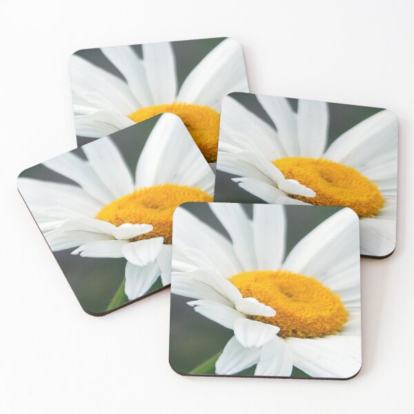 Item preview, White pedals  designed and sold by DonLloyd Art & Photography.