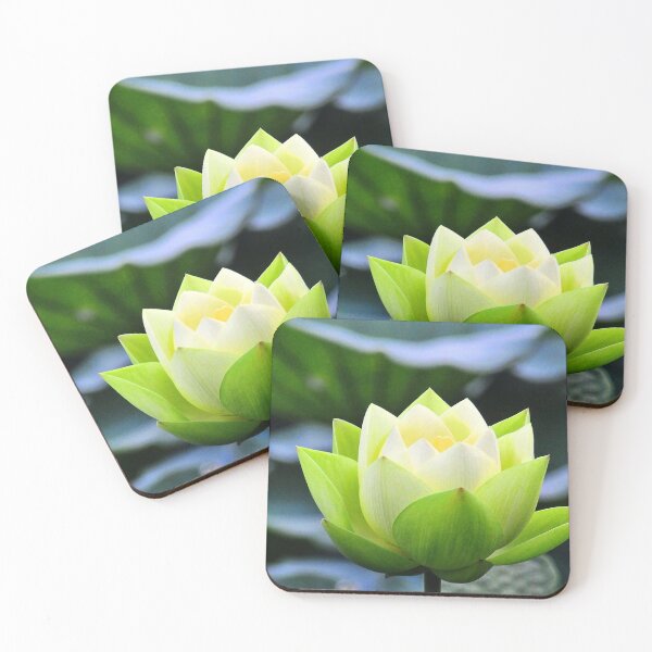 Item preview, Lotus designed and sold by DonLloyd Art & Photography.