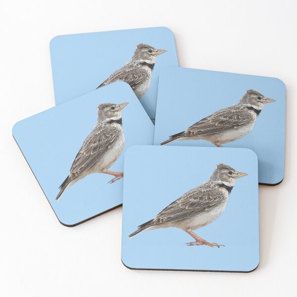 Item preview, Calandra Lark Color Design  designed and sold by designsasstultd.