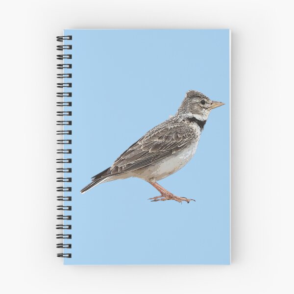 Item preview, Calandra Lark Color Design  designed and sold by designsasstultd.